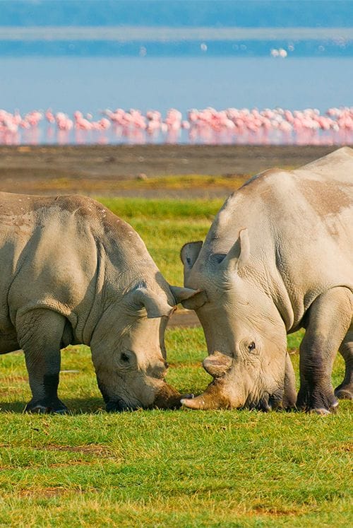 Private Safari Route
